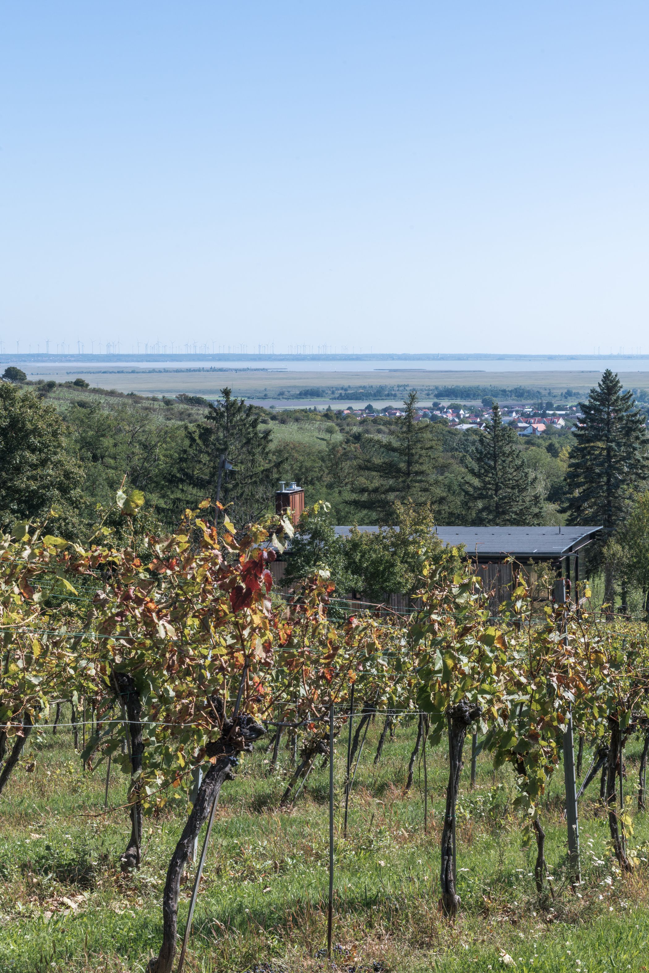 82 Haus Thurner 2935