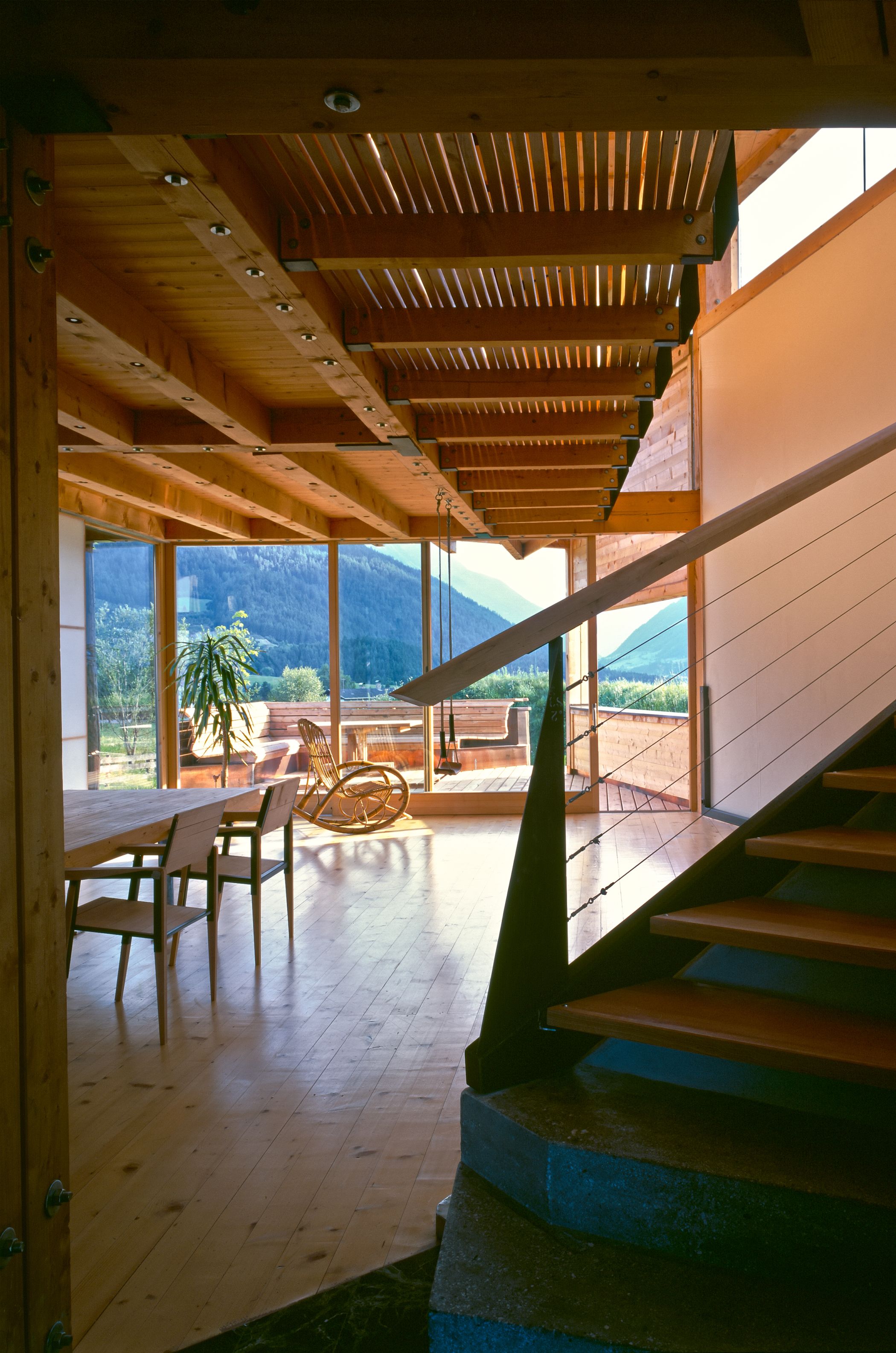 Solarskeleton Mitblick Morris