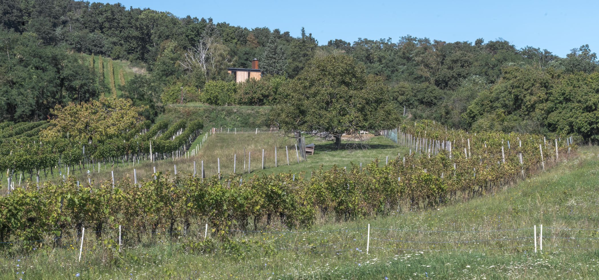 74 Haus Thurner 2910 Thomas Driendl