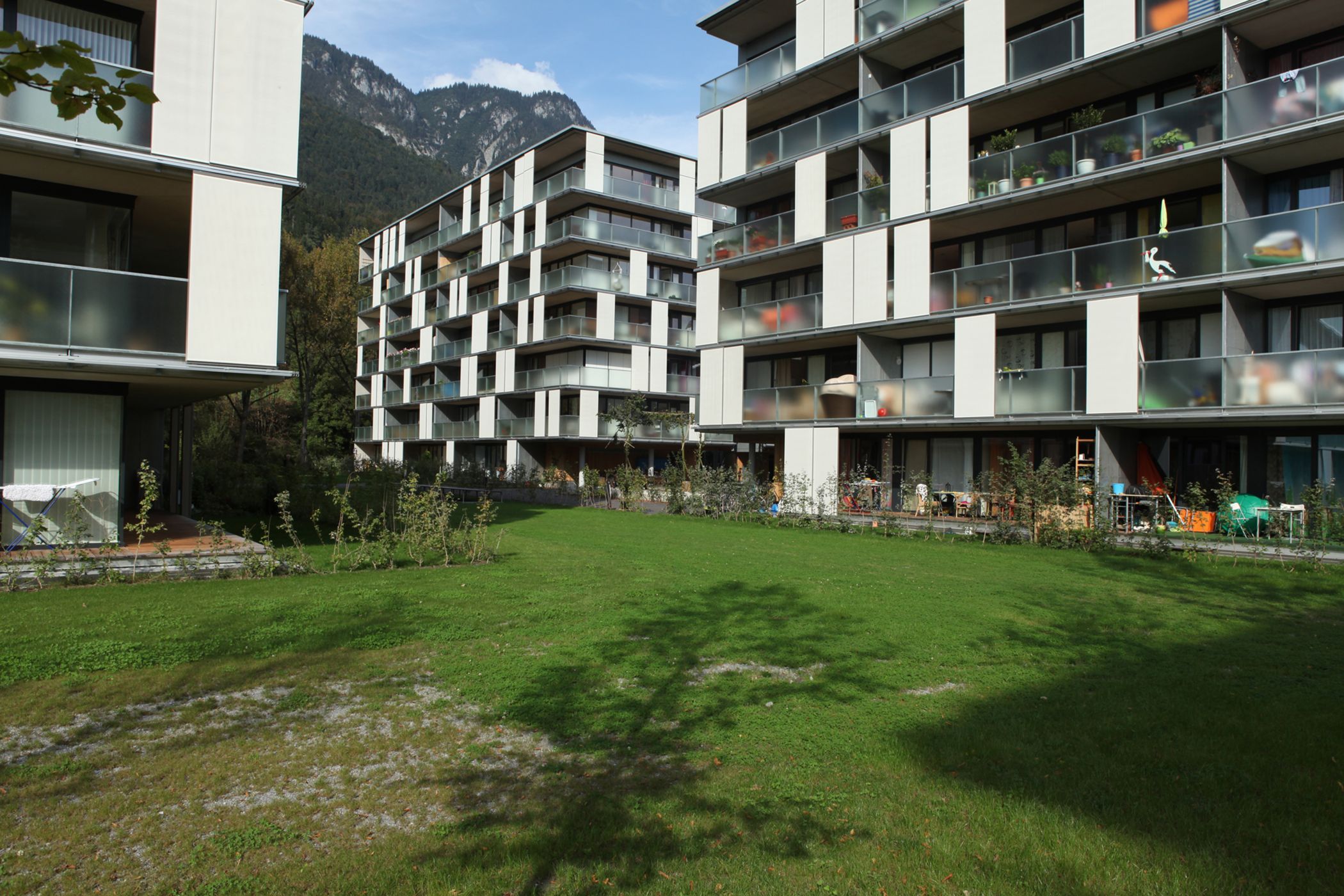 Driendl Lohbach Milli Kaufmann 01