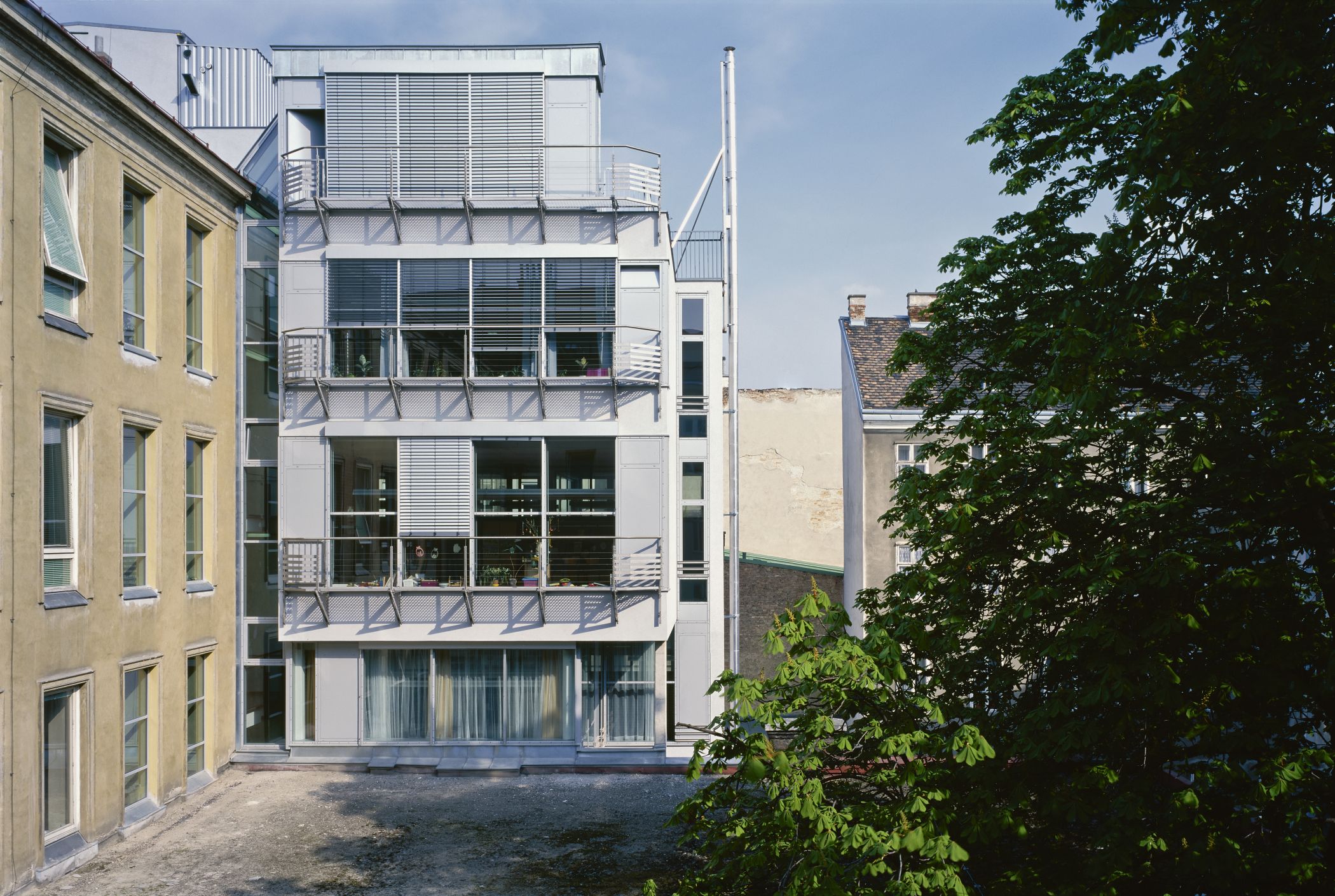 Zinckgasse Kuckuck Morris