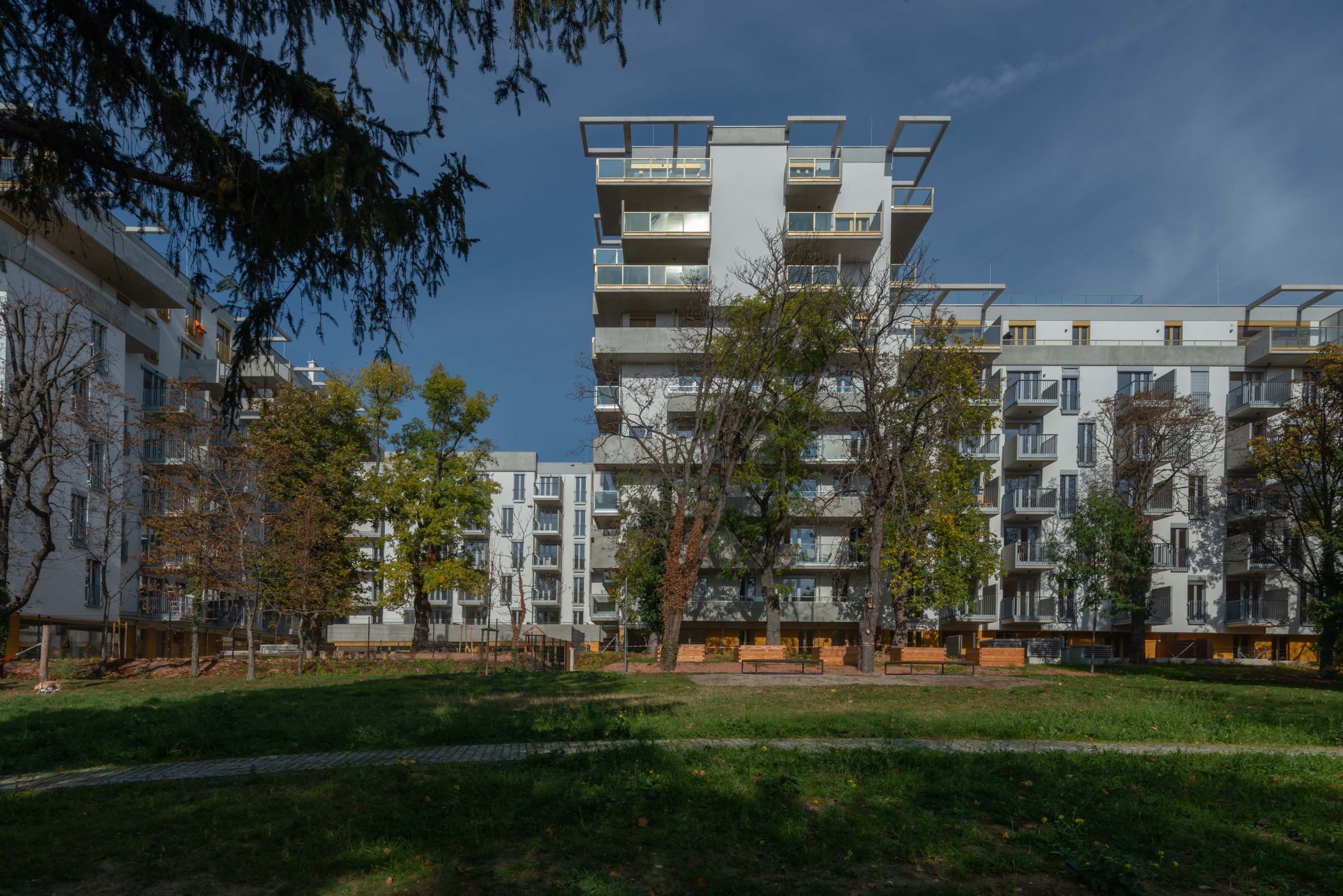 Fotocannablau 20221025 0377